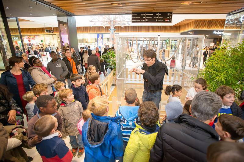 Envie d'une exposition de perroquets, une animation évènementielle appréciée par les enfants partout en France