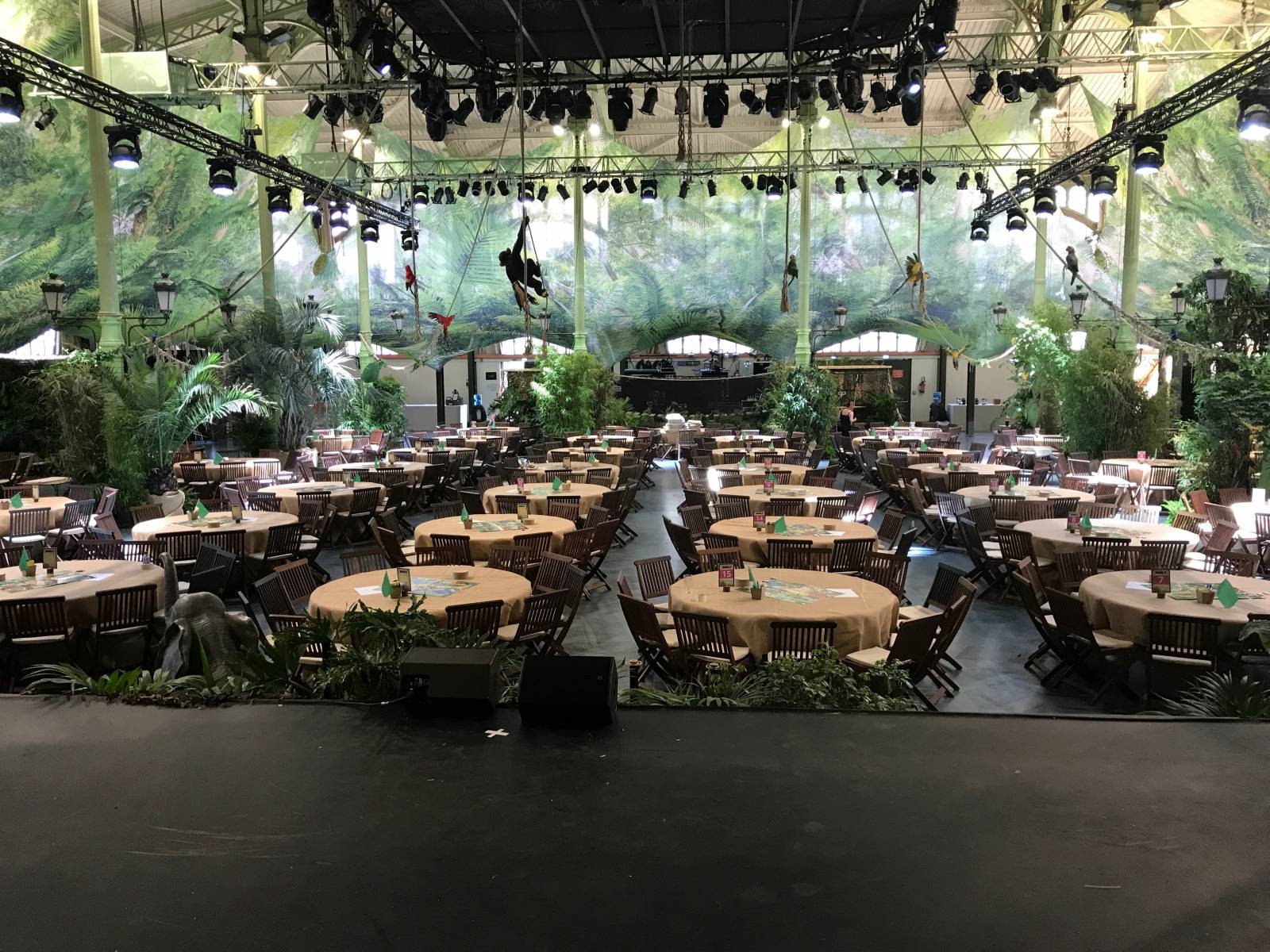 Redécouvrez votre âme d’aventurier avec la location de nos décors Jungle Tropical pour vos Événements sur Paris et partout en France