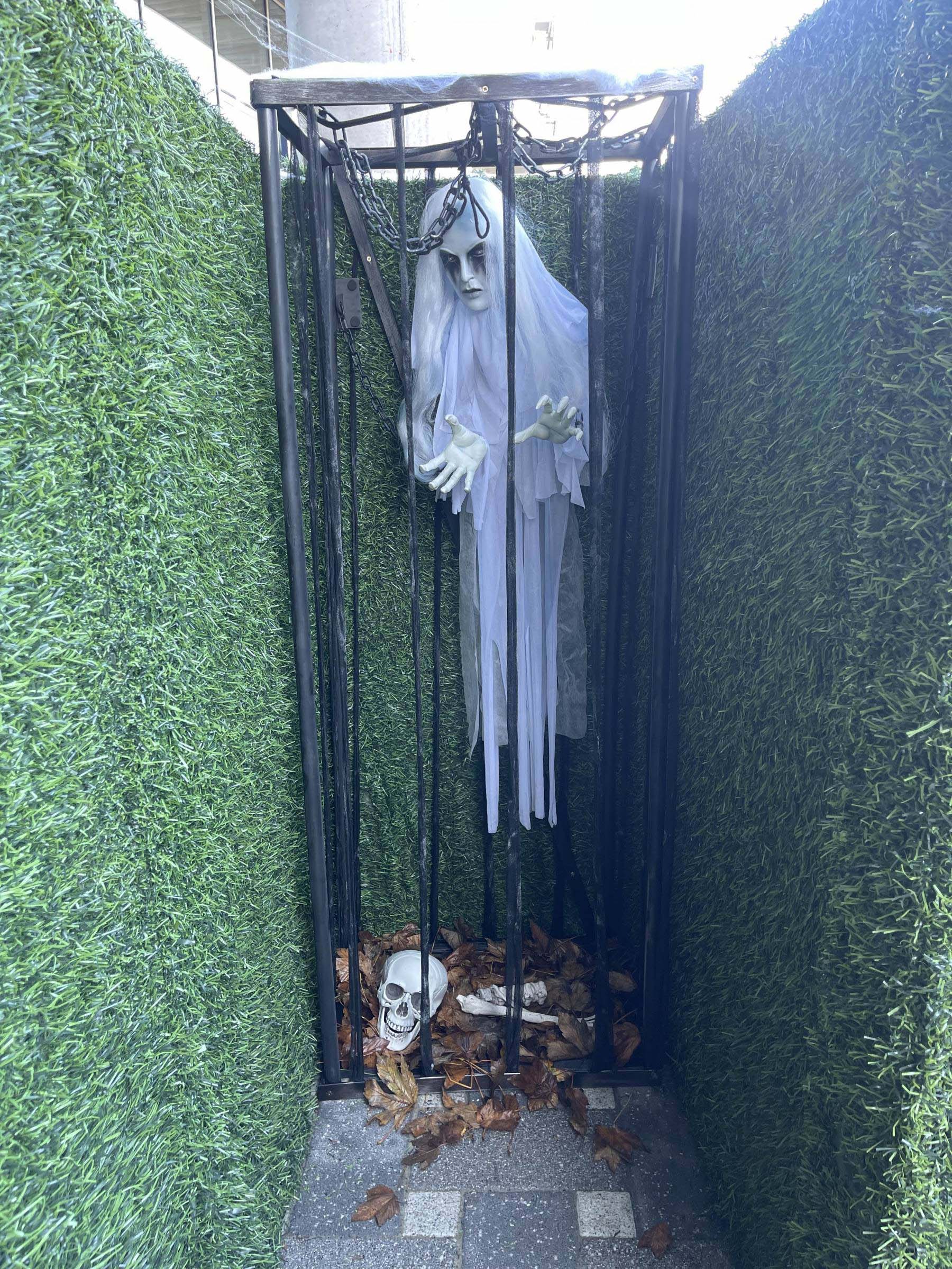 Immersion dans notre labyrinthe d'Halloween : animation installée dans un centre commercial Lille 59 dans le Nord