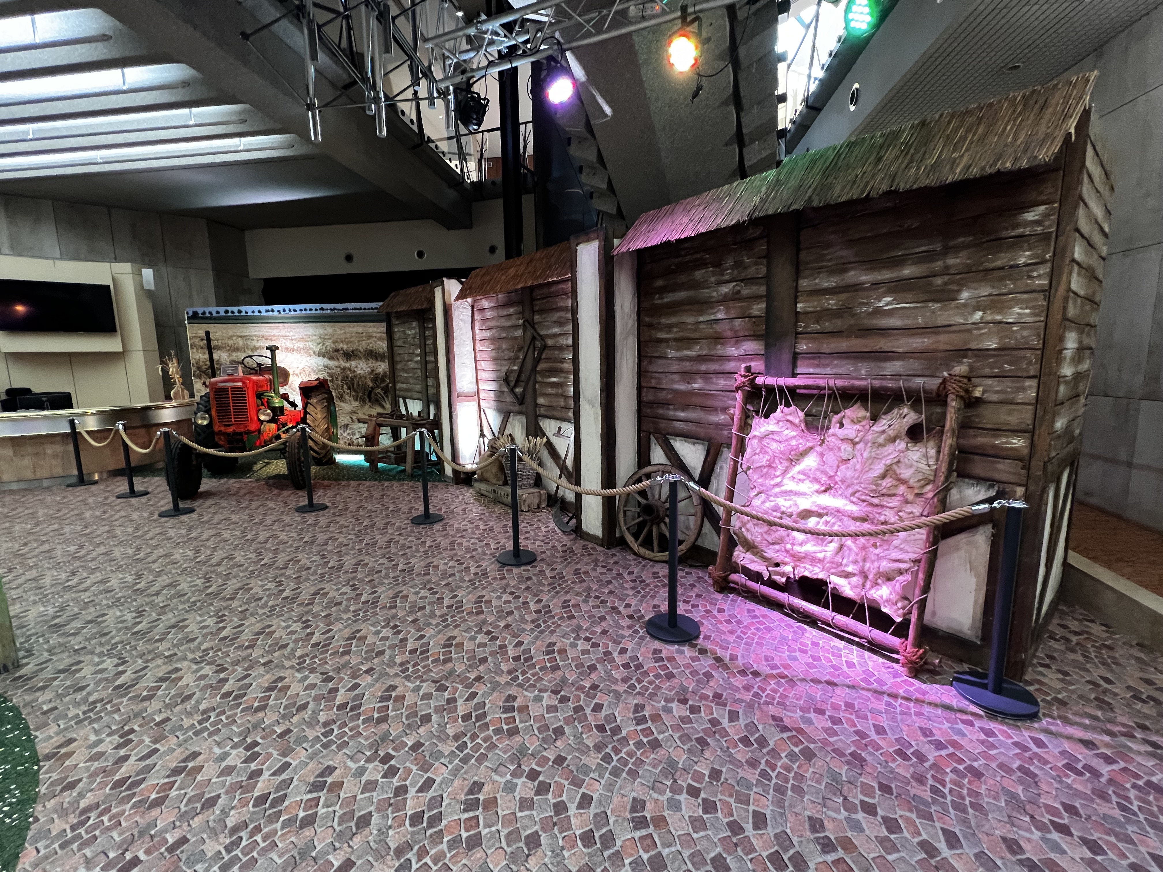 Location de décoration Ferme - Animaux