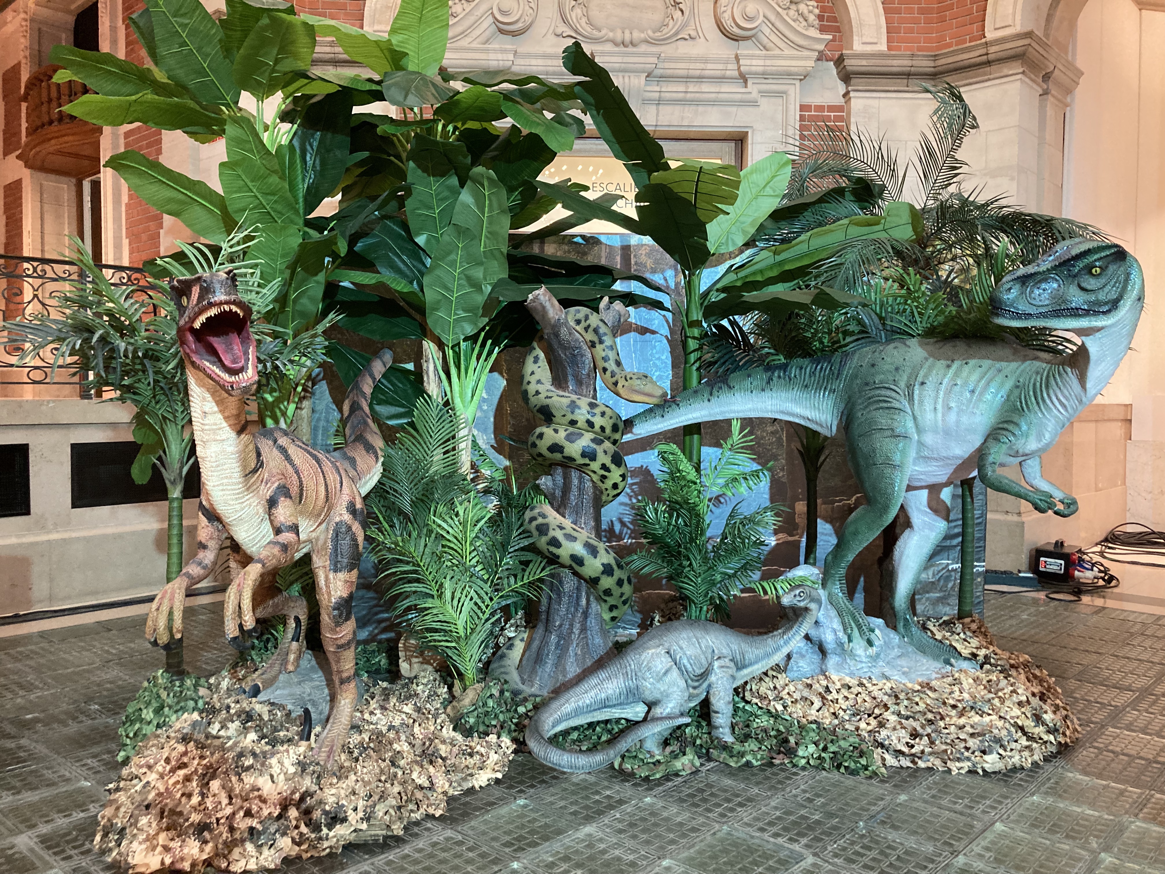 Location de décors Dinosaures pour un évènement à thème sur Lille, Paris, Lyon et Marseille