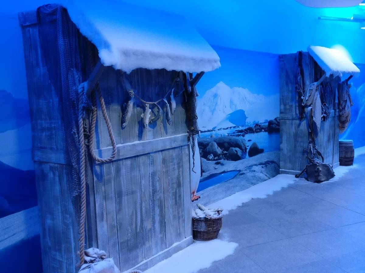 Décors thème Banquise sur Lille, Paris, Lyon et alentours pour vos soirées et animations