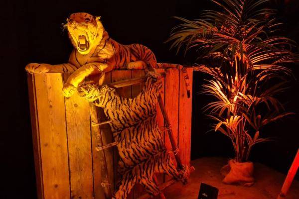 Location de décors Afrique sur Lille, Paris, Strasbourg et Marseille