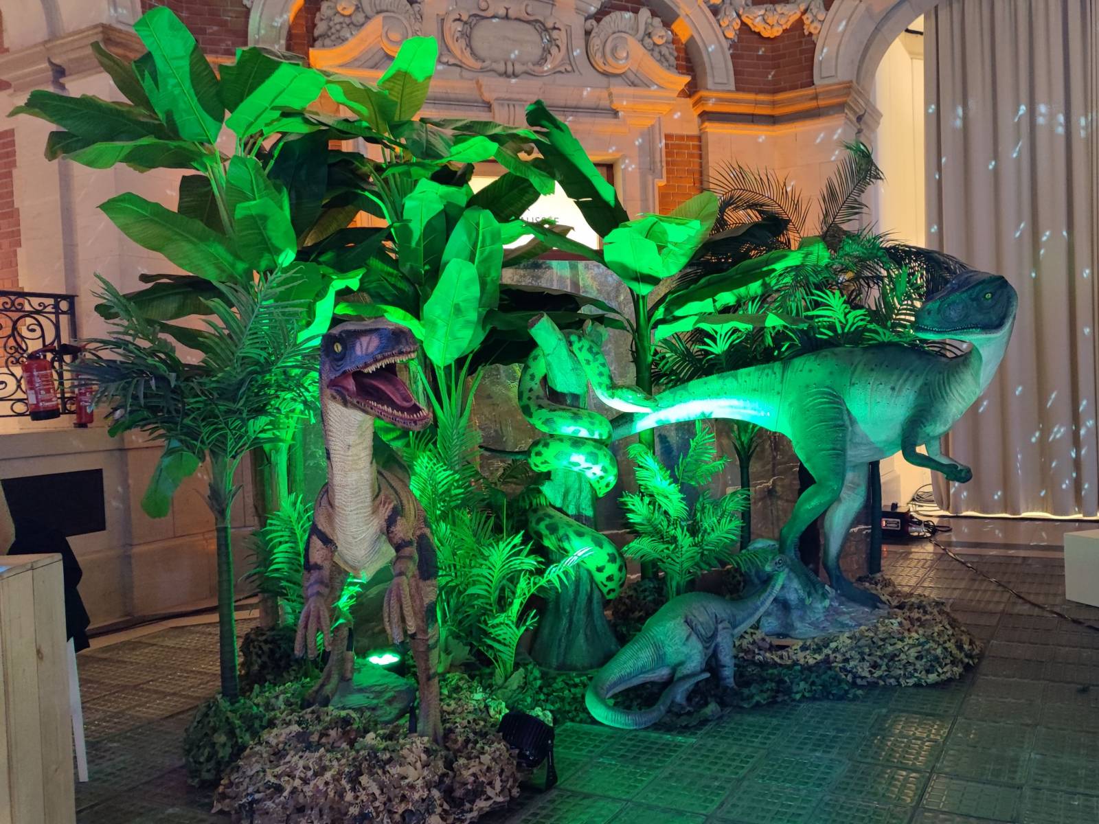 Location de structures, décors et animations thème Jurassic, Poudlard et même Pirate : Voyageons d'univers en univers près de Lille