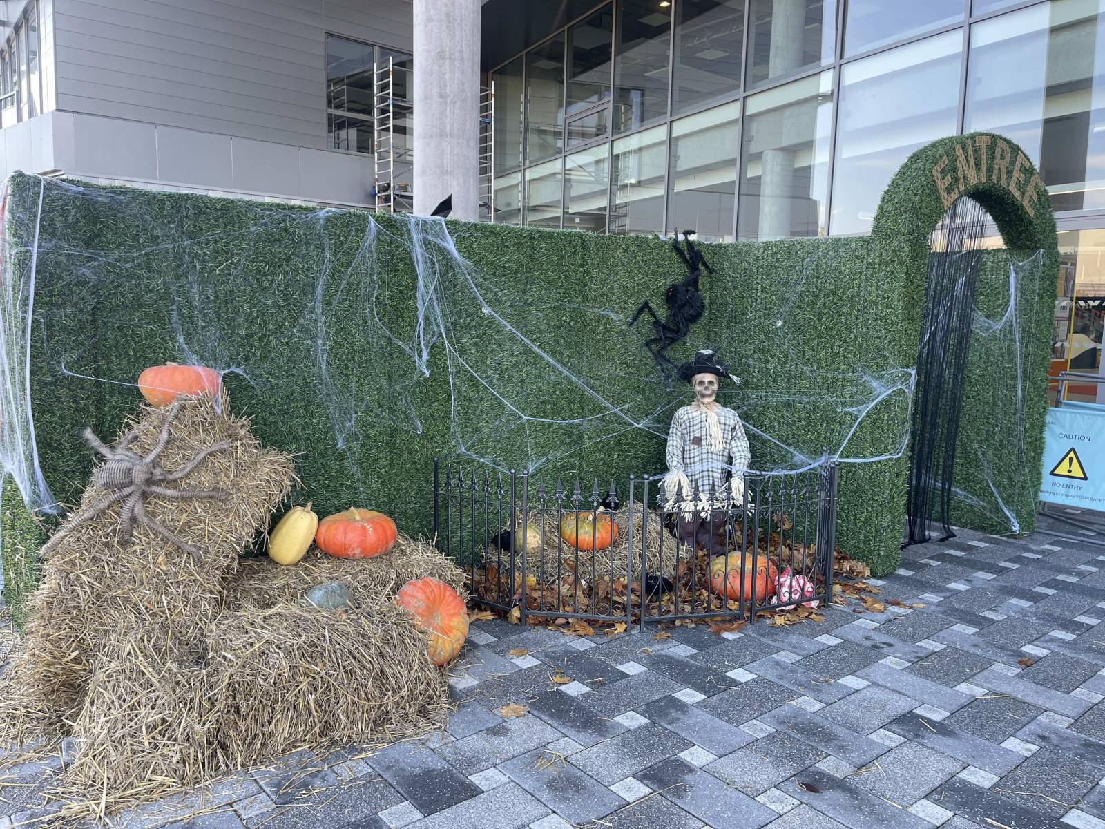 Immersion dans notre labyrinthe d'Halloween : animation installée dans un centre commercial Lille 59 dans le Nord
